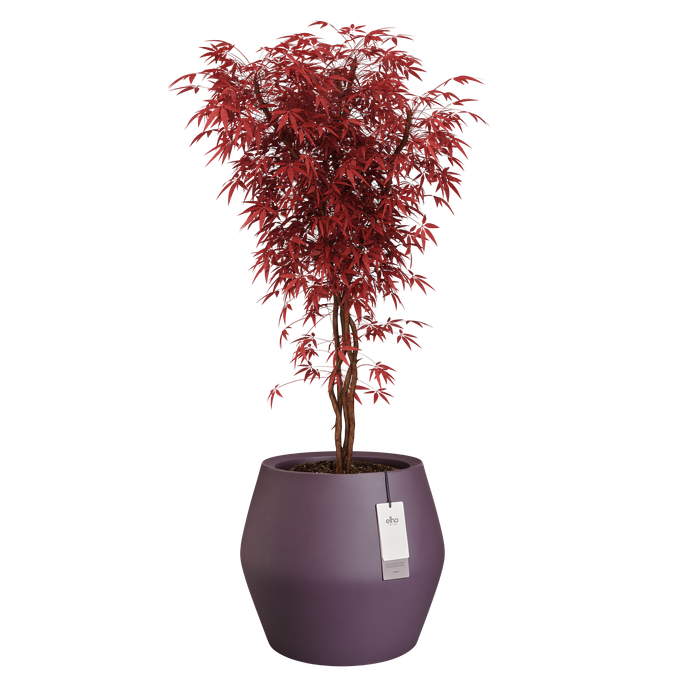 june split low 46cm vintage plum